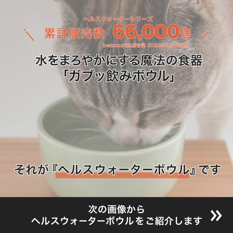 猫用食器のヘルスウォーターボウルは水をまろやかにする魔法の食器