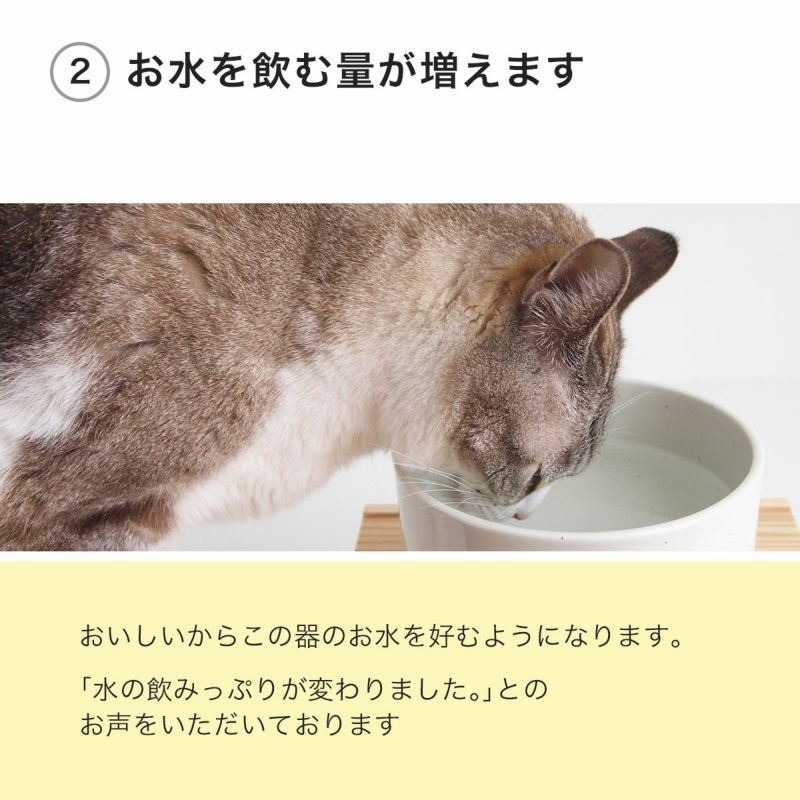 猫が水を飲まない対策に。水飲み陶器ヘルスウォーターボウルS