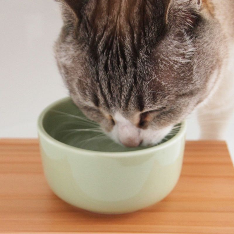 猫用食器のヘルスウォーターボウルはインテリアにもなじむシンプルな陶器です
