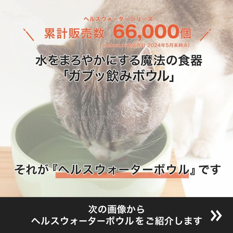 猫用食器のヘルスウォーターボウルは水をまろやかにする魔法の食器