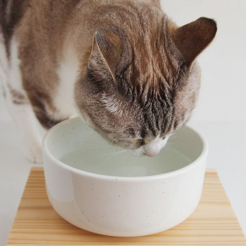猫用食器のヘルスウォーターボウルMサイズ