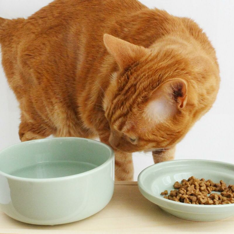 注目のブランド ヘルスウォーター ボウル バニラホワイト M 猫 食器 igotanewlattitude.com