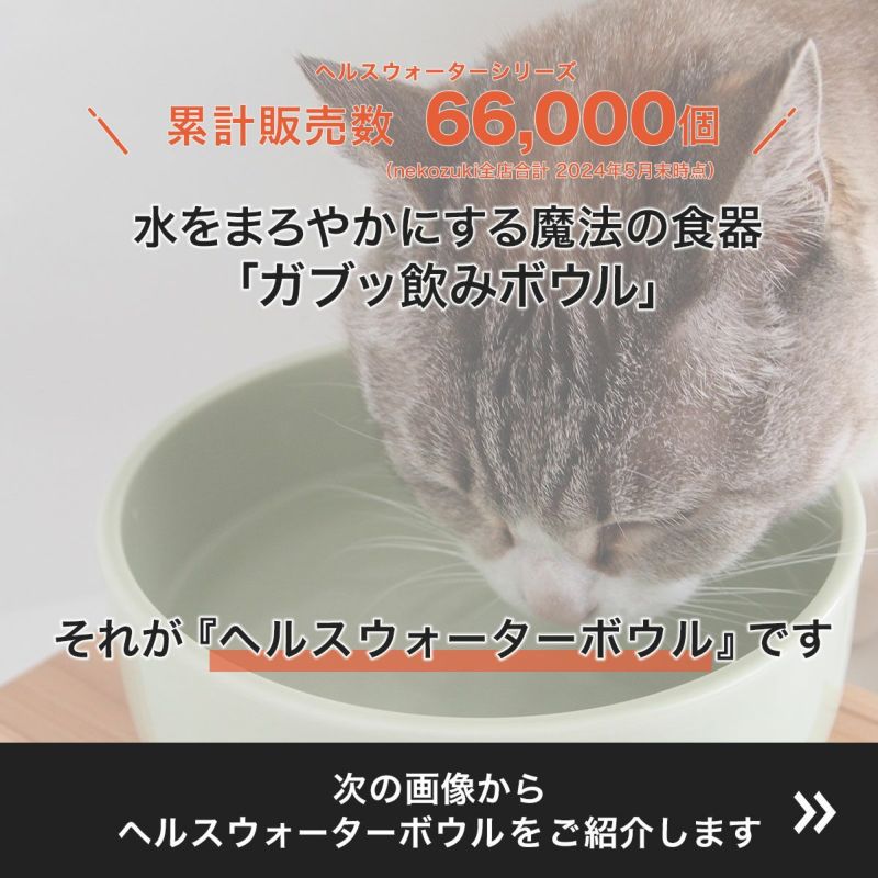 猫用食器のヘルスウォーターボウルは水をまろやかにする魔法の食器