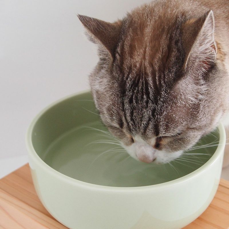 猫用食器のヘルスウォーターボウルはインテリアにもなじむシンプルな陶器です