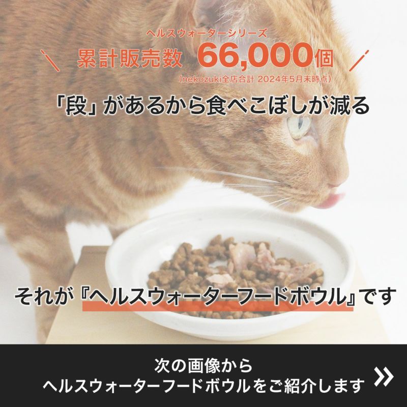 ヘルスウォーターボウルとセットで人気。猫のごはん用陶器・フード