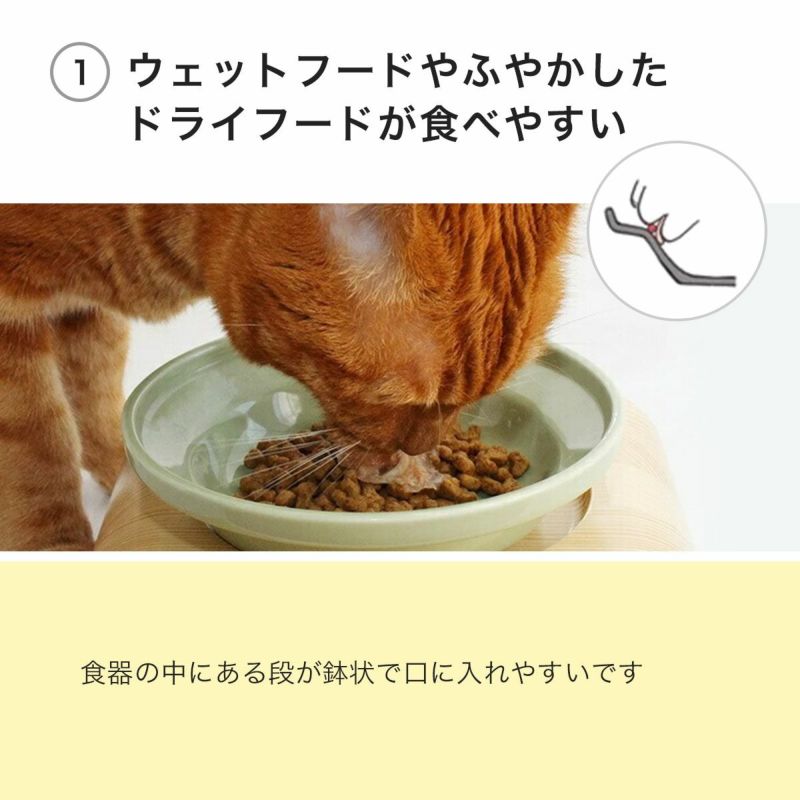 ウェットフードやドライフードが食べやすい猫用食器