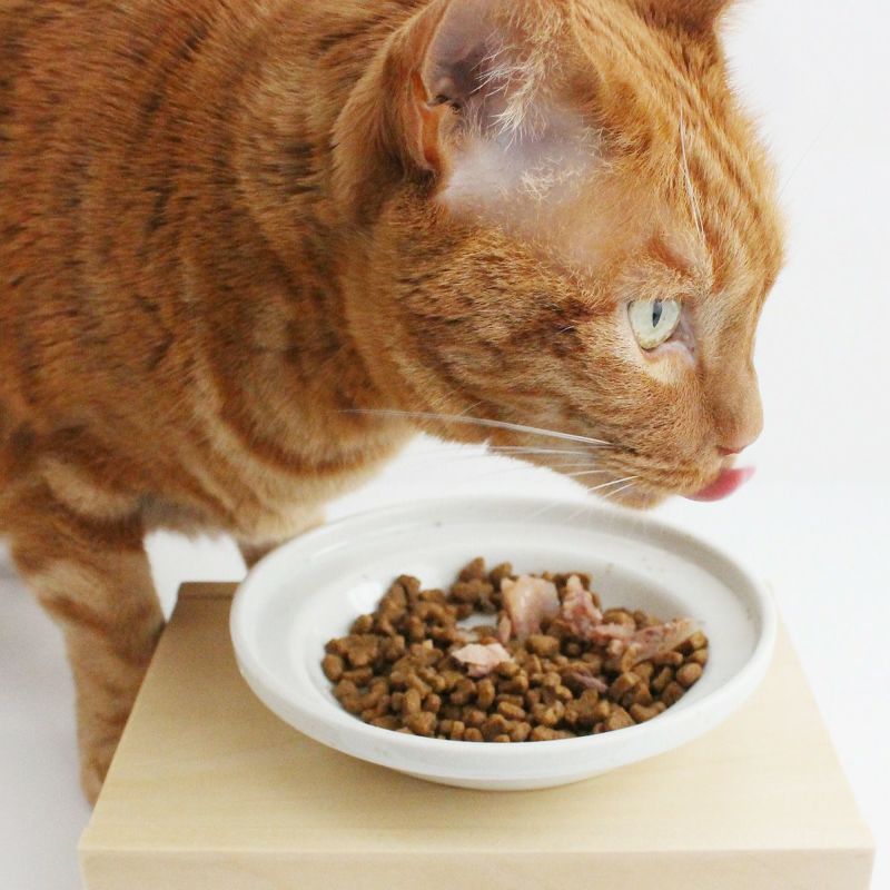 猫がキャットフードを食べやすく食べこぼしが減る猫用食器