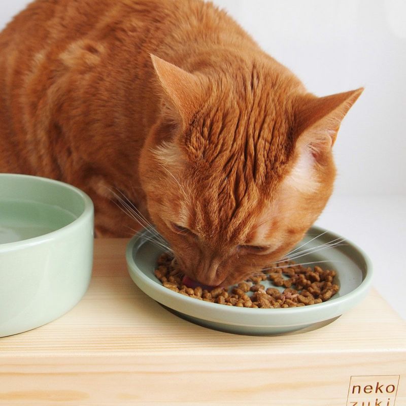 nekozuki 木製 円形食器台 ウォーターボウル　サイズL セット ネコセカイ 公式オンラインショップ / ヘルスウォーターボウル L