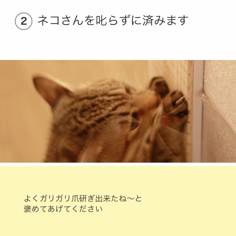 猫が爪を研いでもネコさんを叱らずに済みます