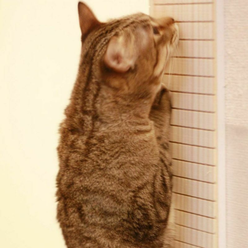 ナチュラルな天然木使用の猫爪とぎガード壁コーナー用