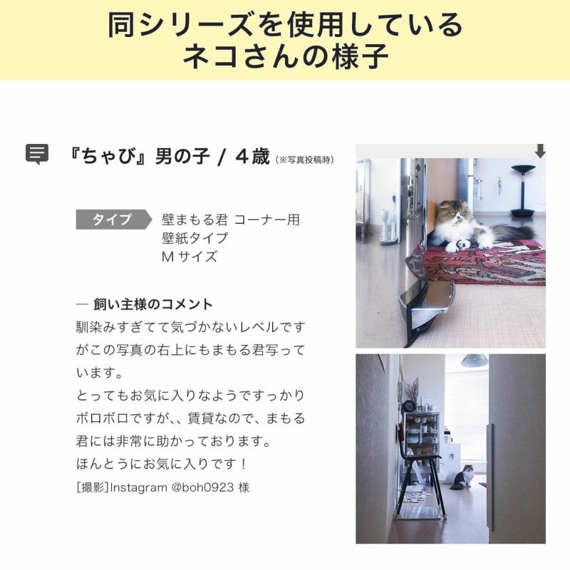 猫の爪とぎから柱や壁をガード壁まもる君同シリーズをお使いのお客様の声