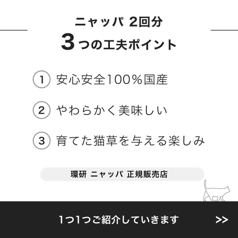 安心安全100％国産の猫草「ニャッパ」