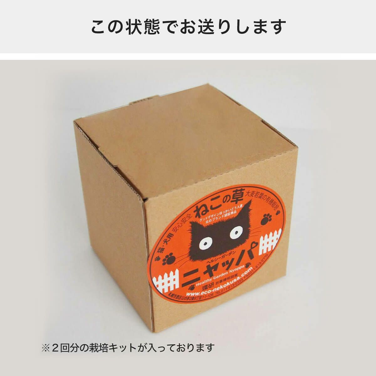 猫草ニャッパ2回分のパッケージ