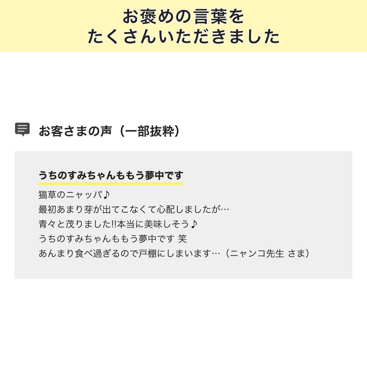 猫草ニャッパ2回分お客様の声