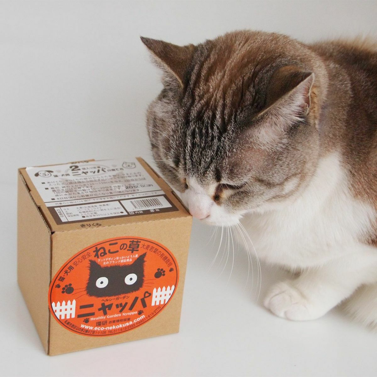 無農薬の北海道産100％。猫草ニャッパ2回分