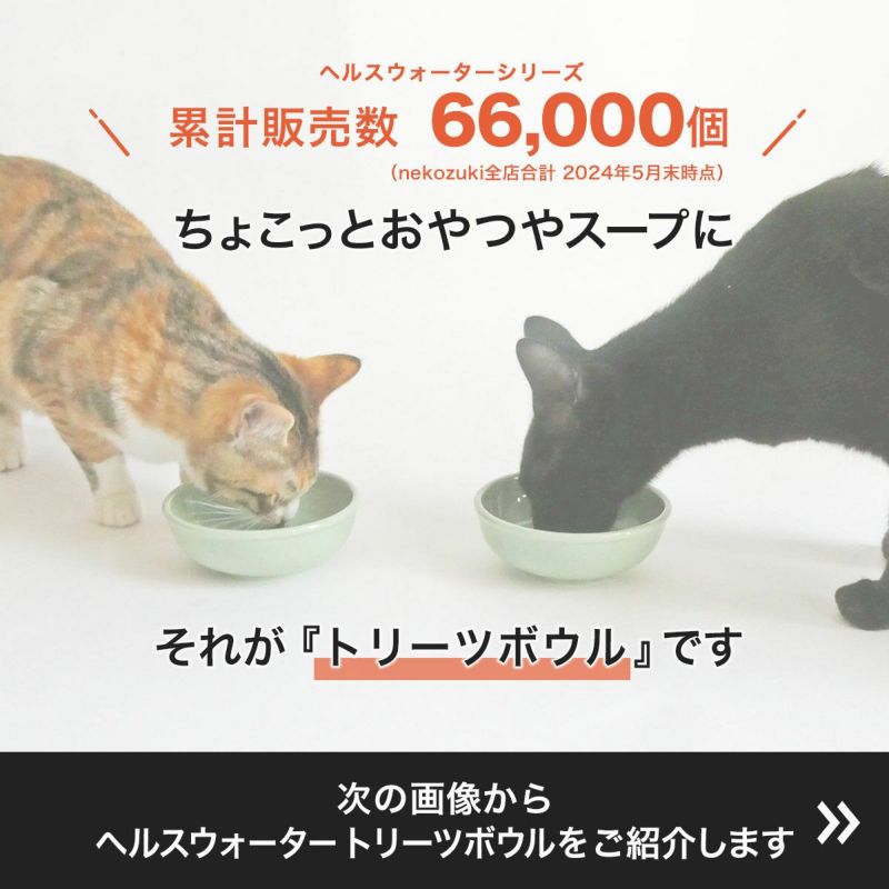 猫のおやつやスープに猫専用食器ヘルスウォータートリーツボウル
