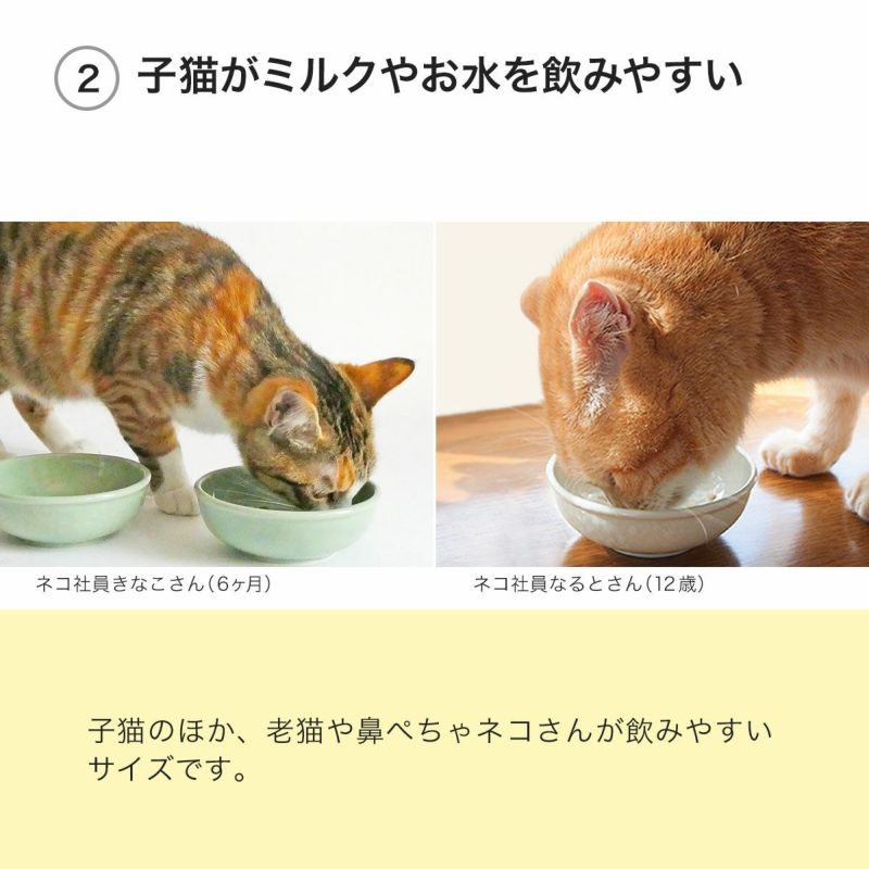 子猫がミルクやお水を飲みやすい猫専用食器