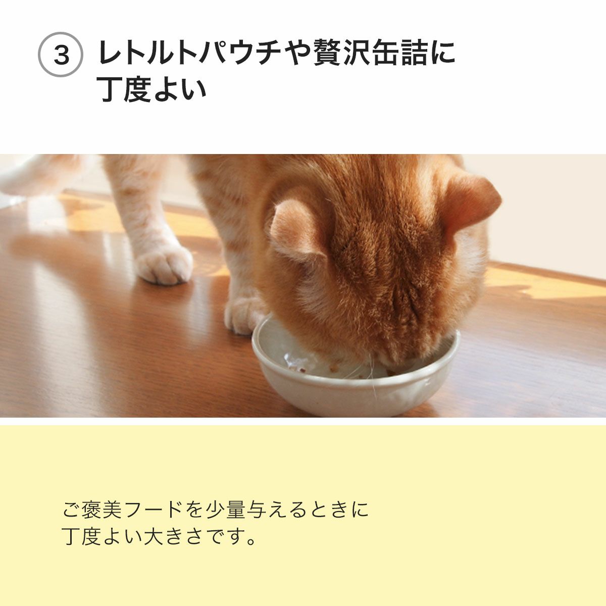 レトルトパウチのキャットフードや贅沢缶詰に丁度よい猫専用食器
