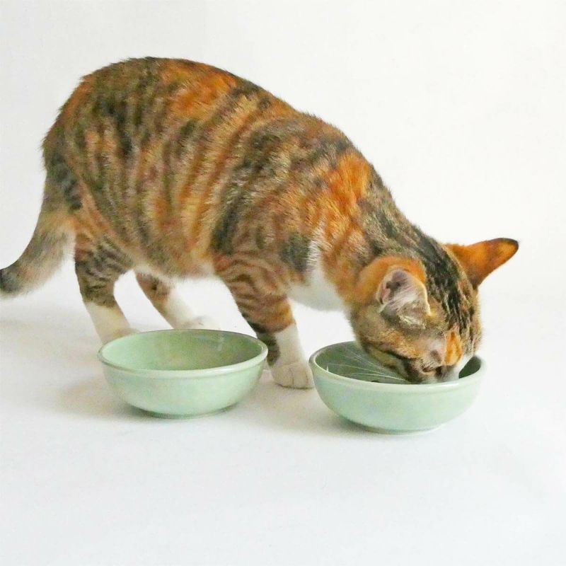 猫のおやつやスープに猫専用食器ヘルスウォータートリーツボウル