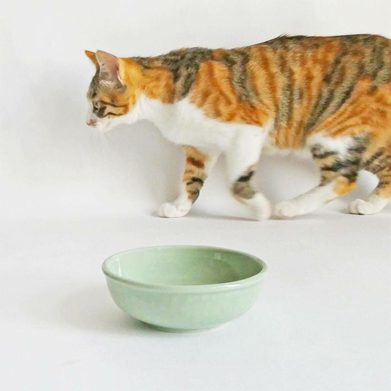 猫のおやつやスープに猫専用食器ヘルスウォータートリーツボウル