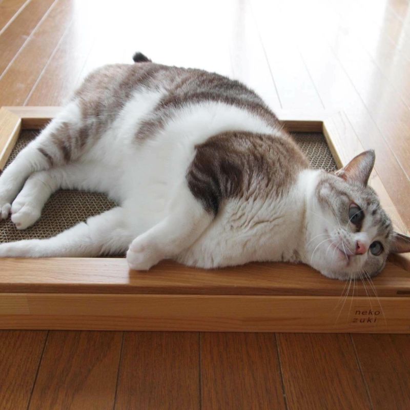 猫の木製爪とぎベッド。動いてしまう不安定な研ぎ場対策にお薦め
