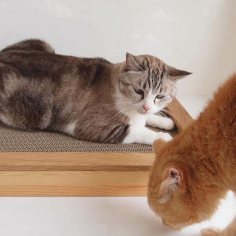 猫の木製爪とぎベッド。動いてしまう不安定な研ぎ場対策にお薦め