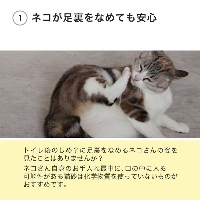 ネコが足裏をなめても安心なウッドチップの猫砂