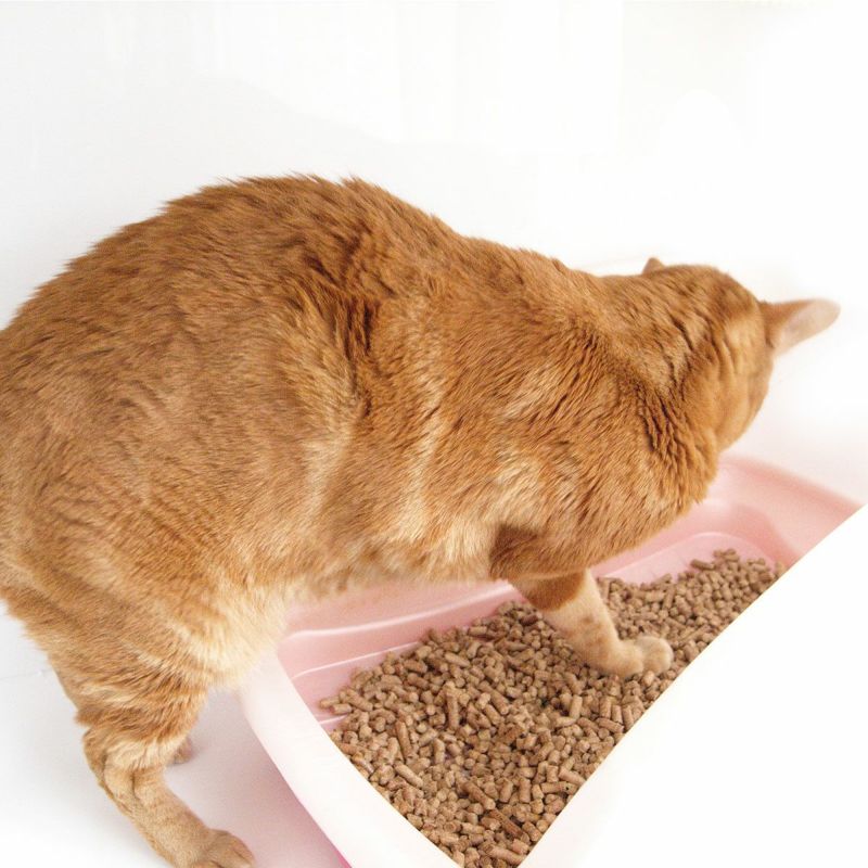 国産無添加ウッドチップの小さな村の猫砂お試しサイズ