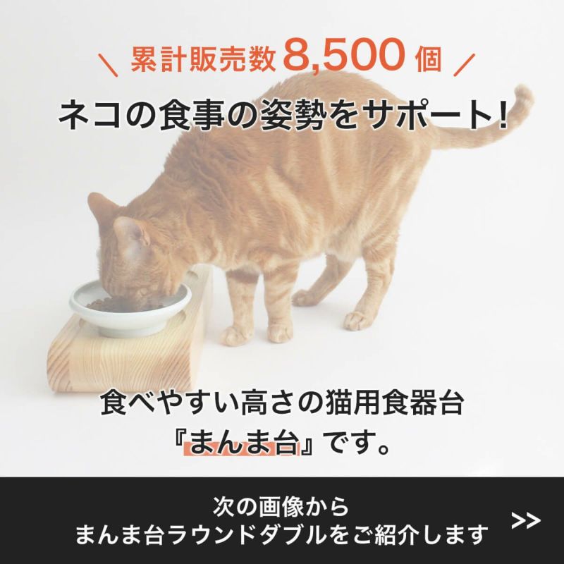 累計販売数8500個　ネコの食事の姿勢をサポートする食べやすい高さの猫用食器台
