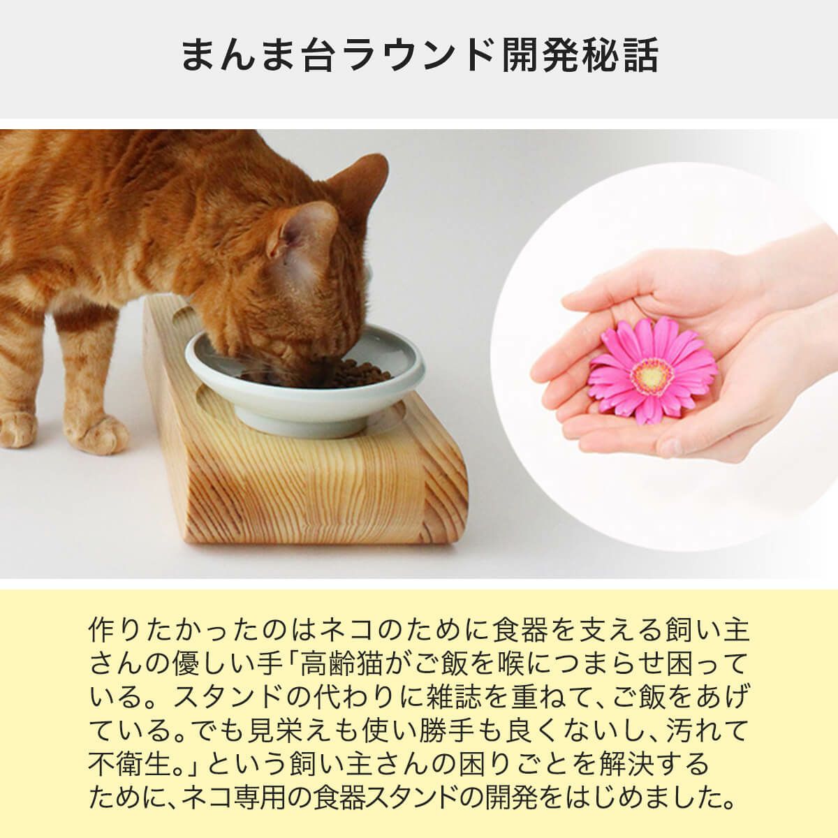 まんま台ラウンド商品開発秘話