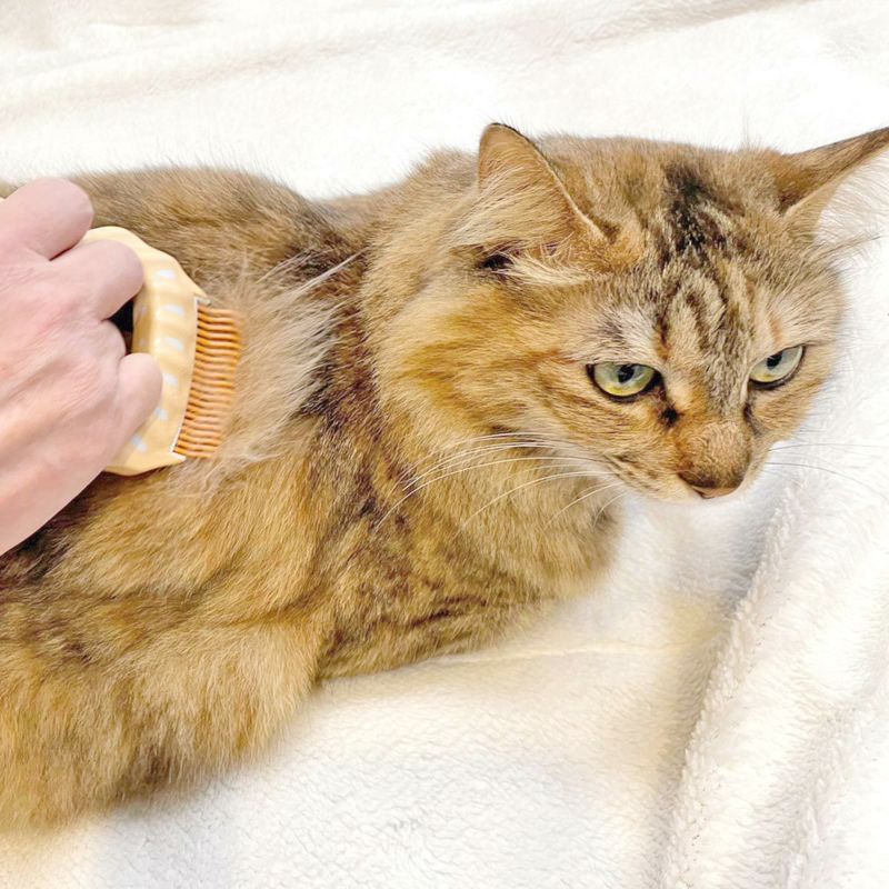 ブラシ嫌いの猫へピロコームE3（長毛猫用） 正規品 -猫用品専門店nekozuki