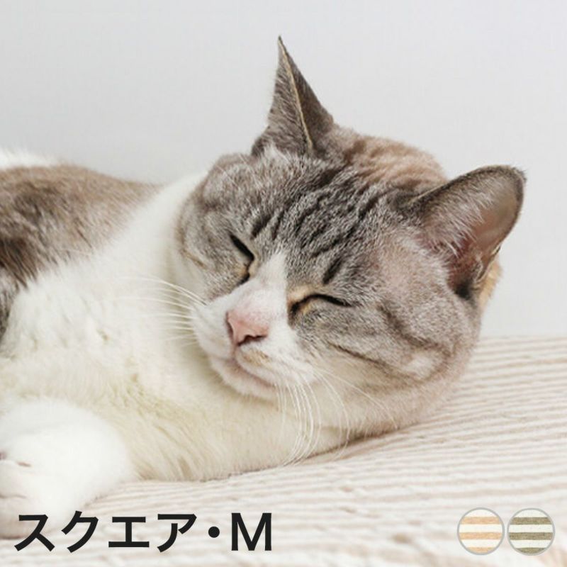 オーガニックコットン使用のリバーシブルマット猫用マットおざぶスクエアM