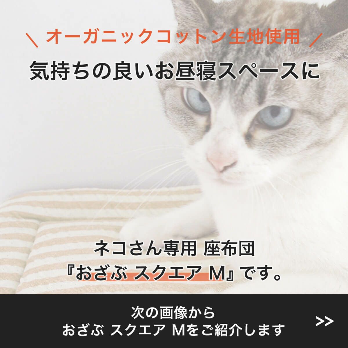 オーガニックコットン使用のリバーシブルマット猫用マットおざぶスクエアM
