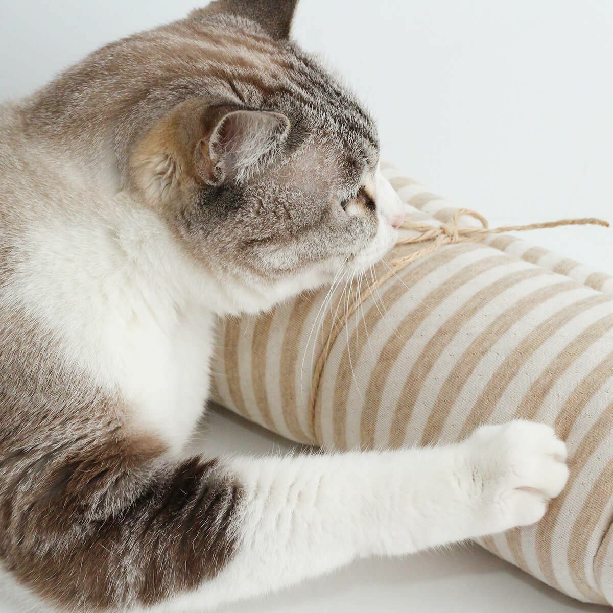 オーガニックコットン使用のリバーシブルマット猫用マットおざぶスクエアM