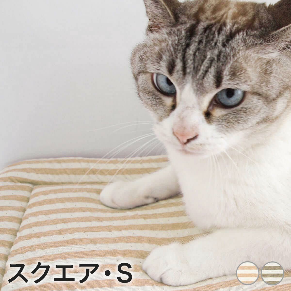 オーガニックコットン使用のリバーシブルマット猫用マットおざぶスクエアS