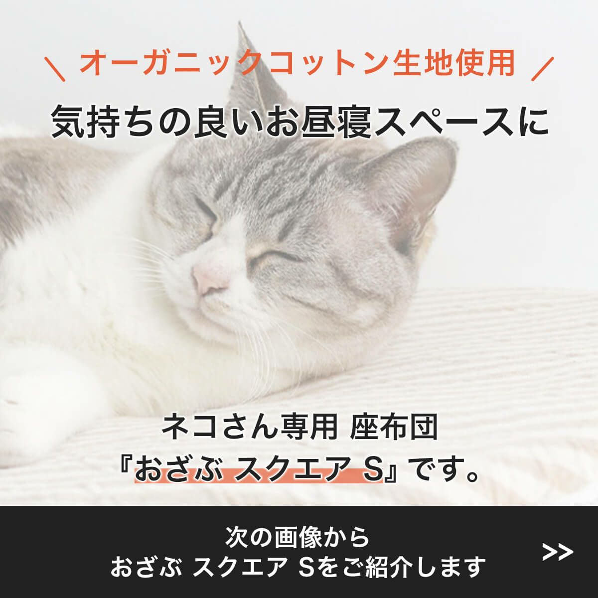オーガニックコットン使用のリバーシブルマット猫用マットおざぶスクエアS