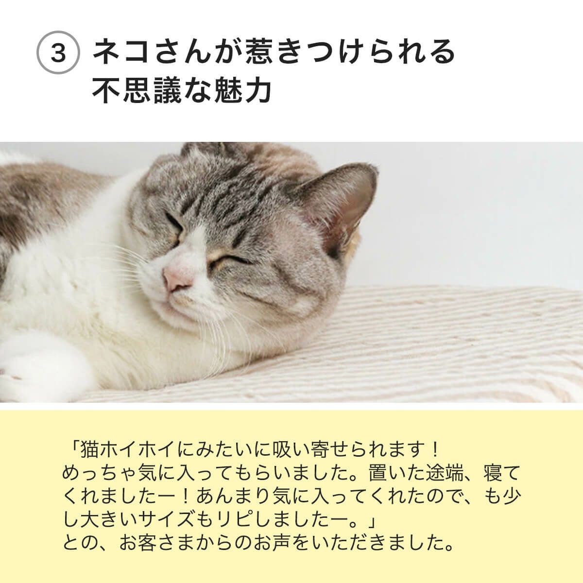 猫用マットおざぶスクエアSのネコさんが惹きつけられる不思議な魅力