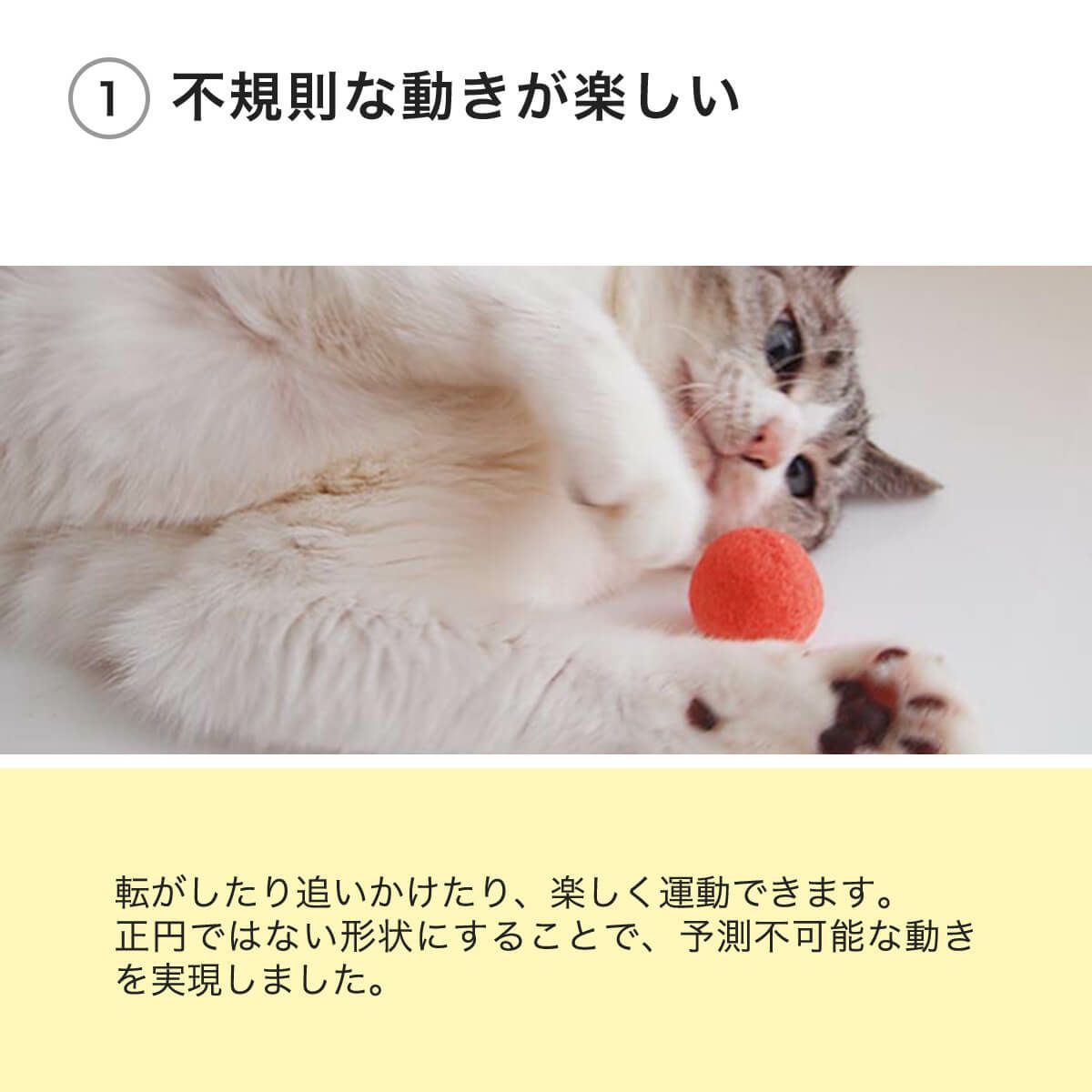 ねこずきころころ6個入は不規則な動きが楽しい