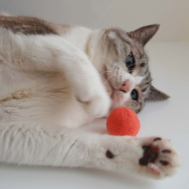 猫さんへのギフトに。猫用おもちゃねこずきころころ