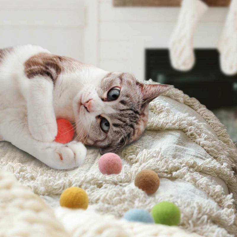 猫さんへのギフトに。猫用おもちゃねこずきころころ