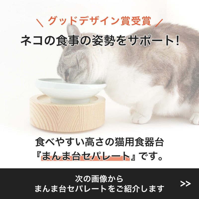 グッドデザイン賞受賞、ネコの食事の姿勢をサポートする食べやすい高さの猫用食器台