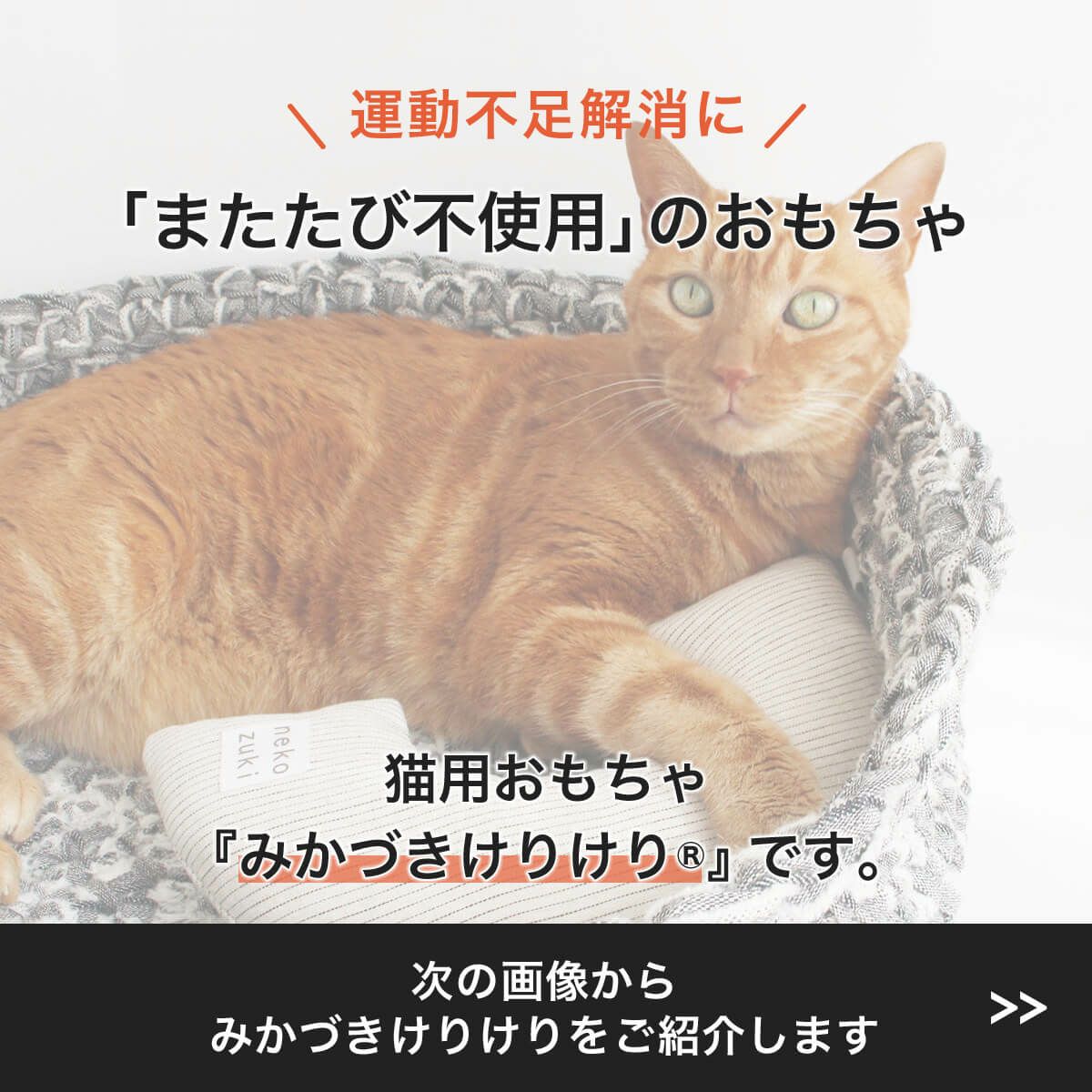 またたび不使用。猫用おもちゃみかづきけりけり