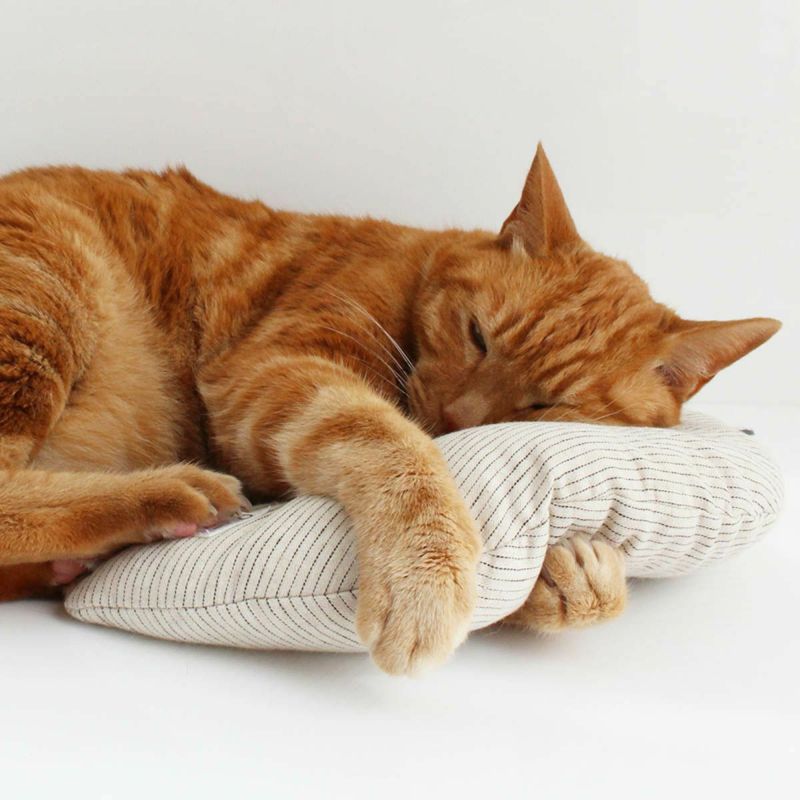 またたび不使用。猫用おもちゃみかづきけりけり