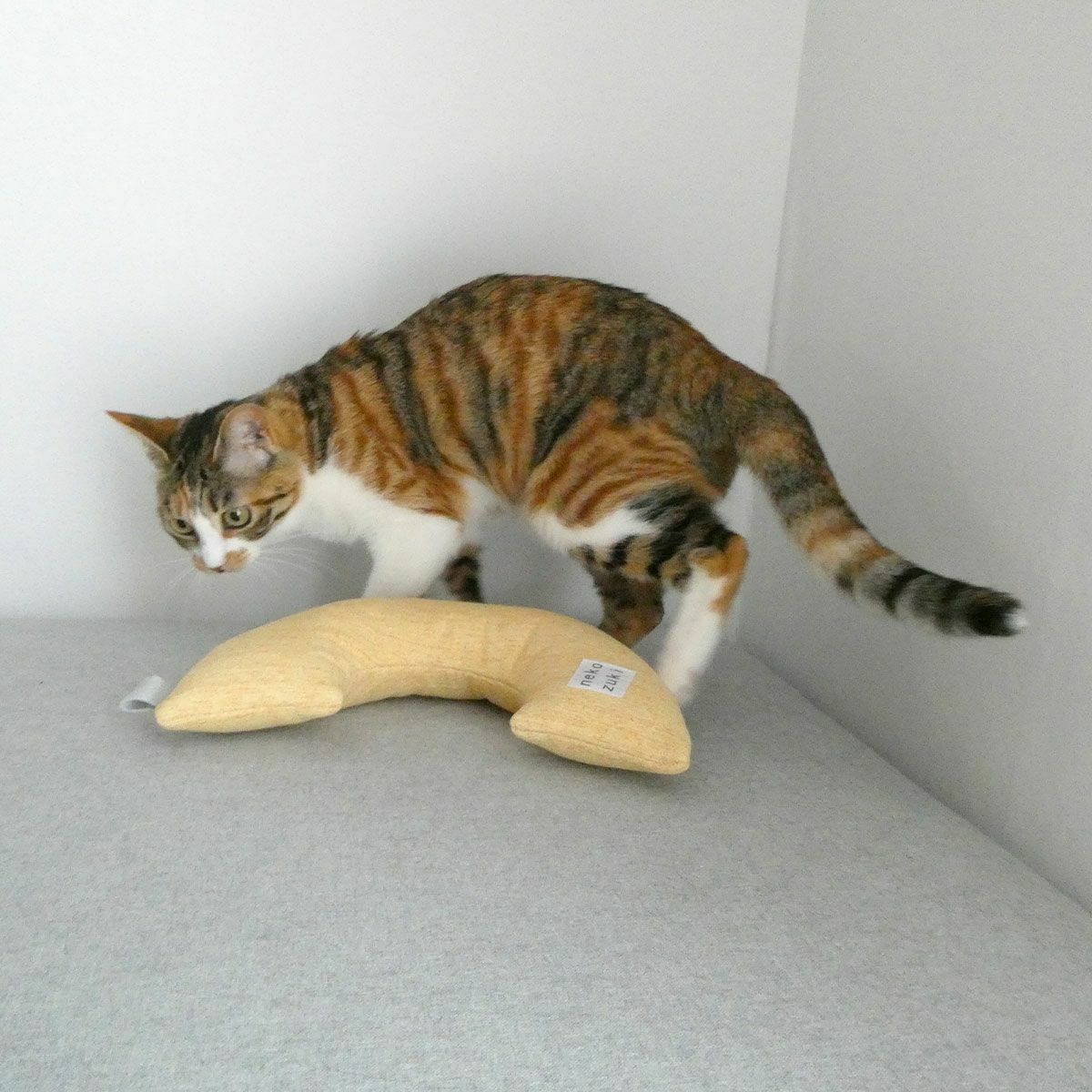 またたび不使用。猫用おもちゃみかづきけりけり