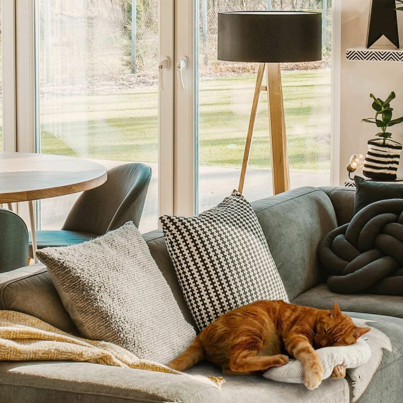 またたび不使用。猫用おもちゃみかづきけりけり