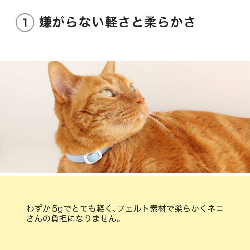 ねこともカラーは嫌がらない軽さと柔らかさ