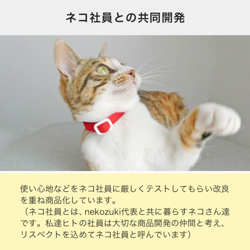 ねこともカラーはネコ社員との共同開発