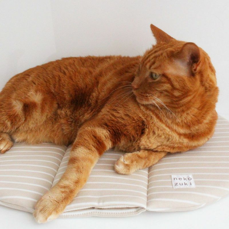 留守番時の安全な寒さ対策に。電気を使わない暖かい猫用マット