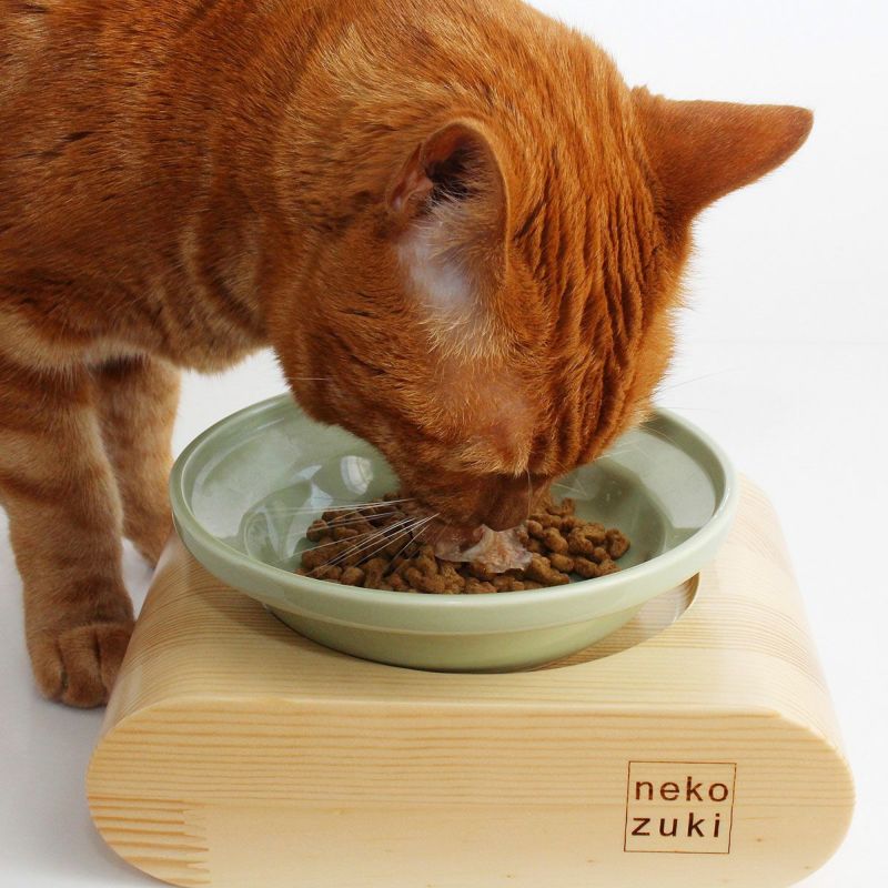 ヘルスウォーターボウルとセットで人気。猫ごはん用陶器フードM