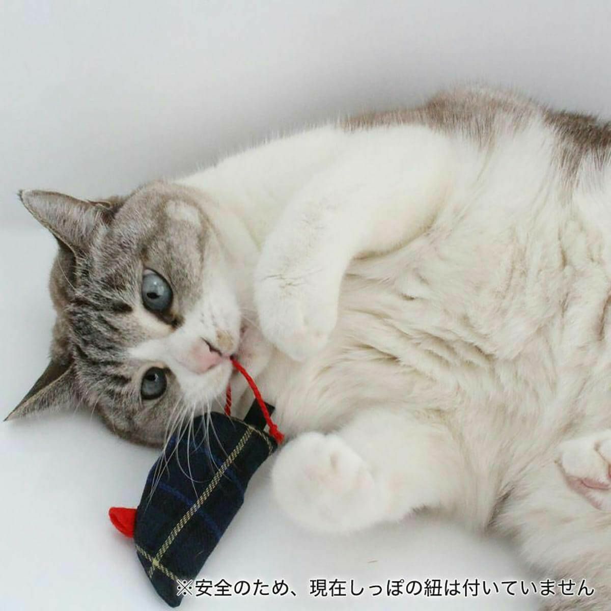 またたび不使用の猫用おもちゃ。おもちゃ2点セットねずみ・さかな